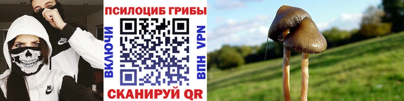 купить наркоту  Борисоглебск  Галлюциногенные грибы ЛСД 